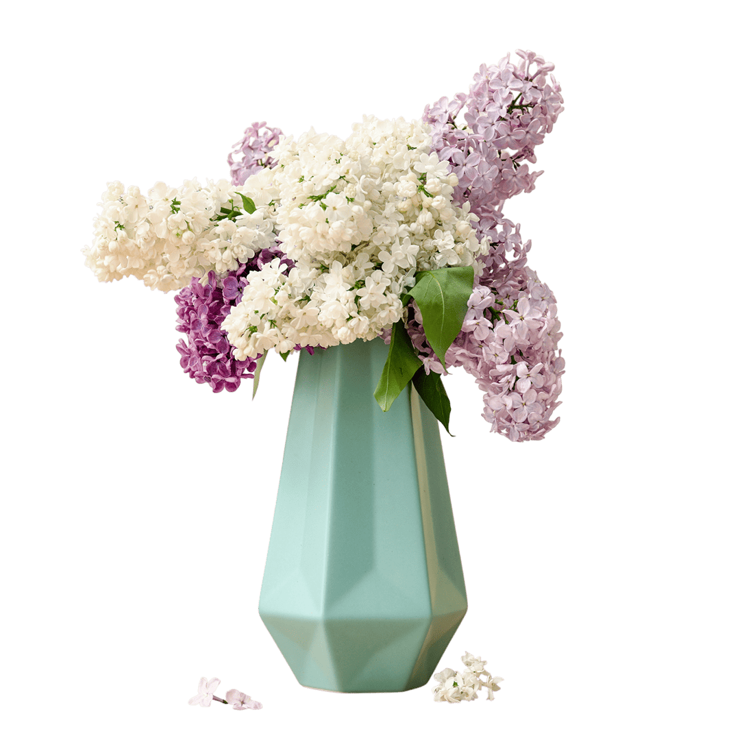 Qingyu Bloom 